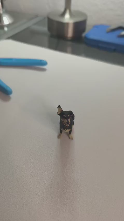 Print My Pet - Schlüsselanhänger